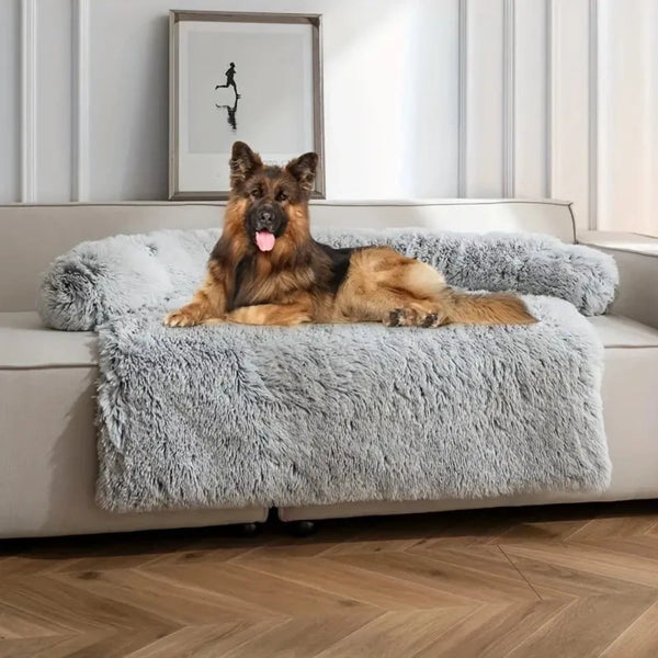 Couch Cover For Dogs And Cats